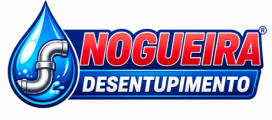 nogueira desentupimento